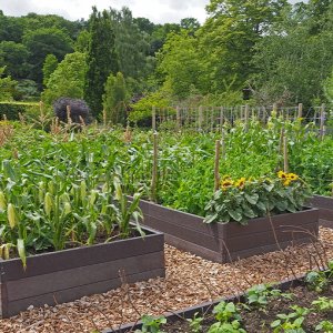 Harlow Carr Gardens