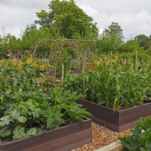 Harlow Carr Gardens