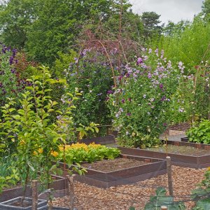 Harlow Carr Gardens