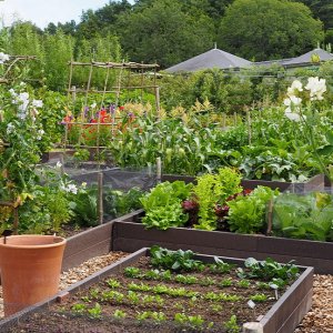 Harlow Carr Gardens