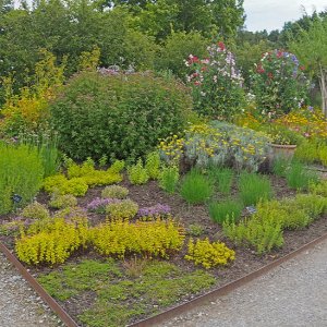 Harlow Carr Gardens