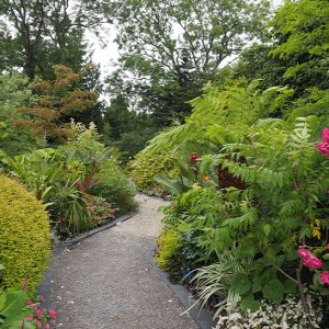 Harlow Carr Gardens