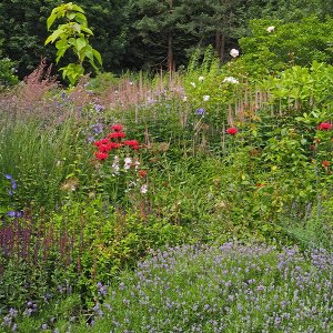 Harlow Carr Gardens