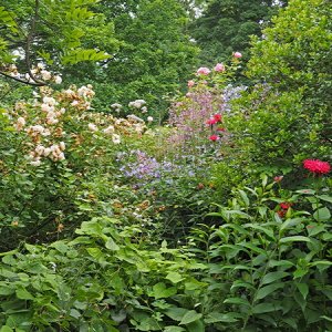 Harlow Carr Gardens