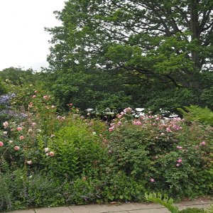 Harlow Carr Gardens