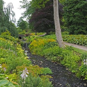 Harlow Carr Gardens