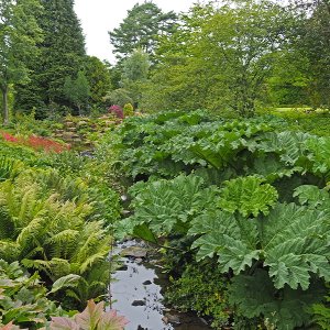 Harlow Carr Gardens