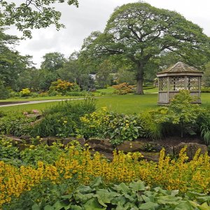 Harlow Carr Gardens