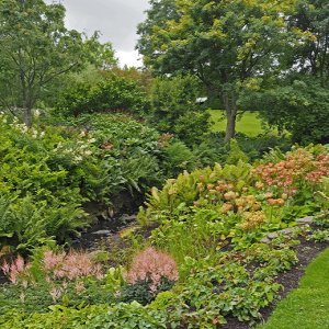 Harlow Carr Gardens