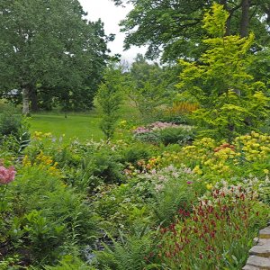 Harlow Carr Gardens