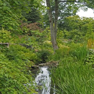 Harlow Carr Gardens