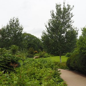 Harlow Carr Gardens