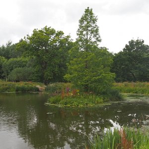 Harlow Carr Gardens