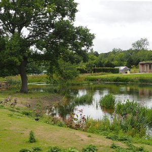 Harlow Carr Gardens