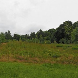 Harlow Carr Gardens