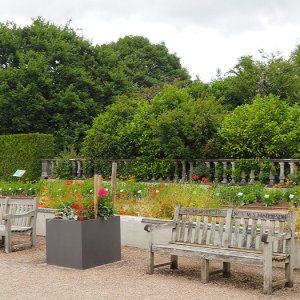 Harlow Carr Gardens