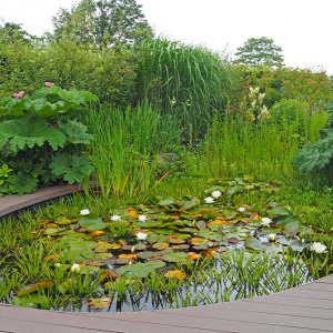 Harlow Carr Gardens