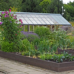 Harlow Carr Gardens