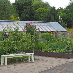 Harlow Carr Gardens