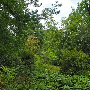 Harlow Carr Gardens