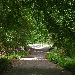 Harlow Carr Gardens