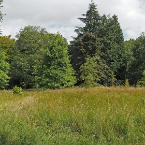 Harlow Carr Gardens