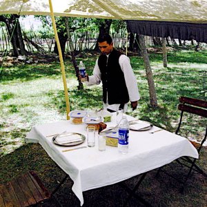Picnic lunch - Shakti style