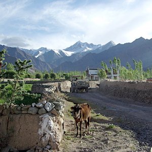 15IStreet, Stok village