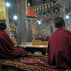 Monks at Thiksey Gompa