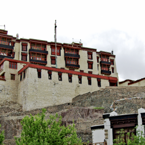 Stok Palace