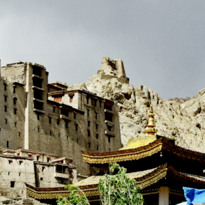 Leh Palace and Nangyal Tsemo