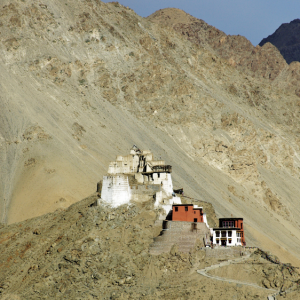 Nangyal Tsemo, Leh