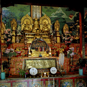 Japanese temple, Shanti Stupa