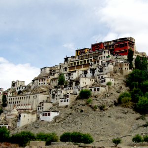 Thiksey Gompa