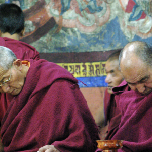 Monks, Thiksey Gompa