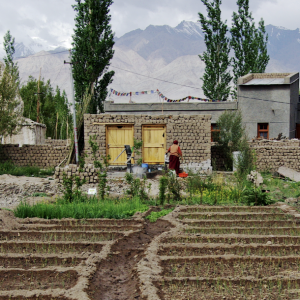 Thiksey village