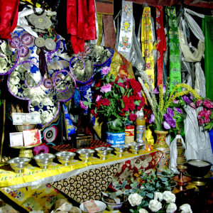 Offerings to the Buddha, Hemis Gompa