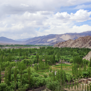 View from Shey Palace