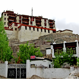 Stok Palace