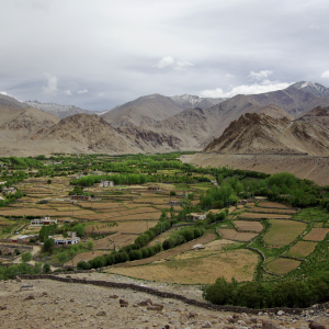 Ganglas from the KhardungLa road