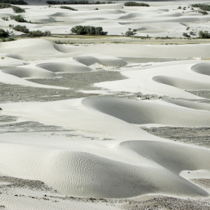 Sand dunes in the Nubra valley