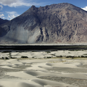 Sand dunes in the Nubra valley
