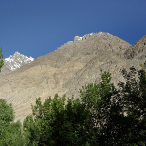 Nubra Organic Retreat, Hundar