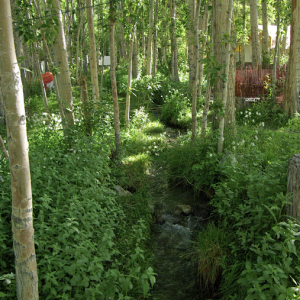 Nubra Organic Retreat, Hundar