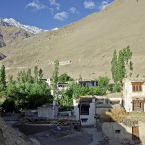 Alchi