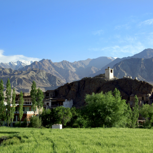 Alchi Old Village