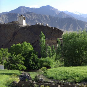 Alchi Old Village