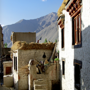 Alchi Old Village
