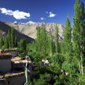 View from Shakti Village House, Nimoo