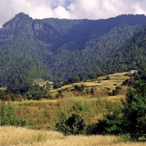 Bhutan - scenery